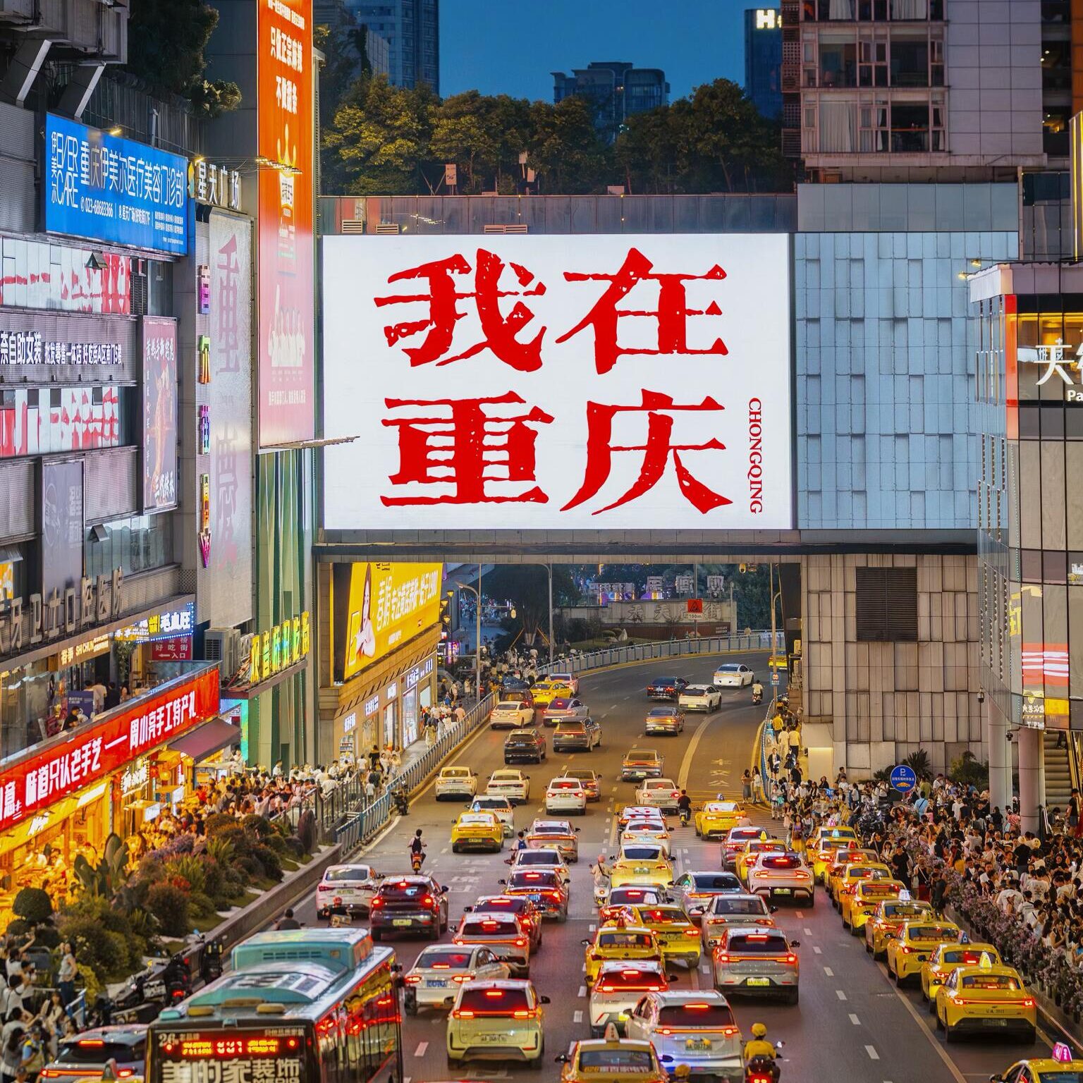 Chongqing 4 Days 3 Nights Itinerary & Private Tour - Image 2