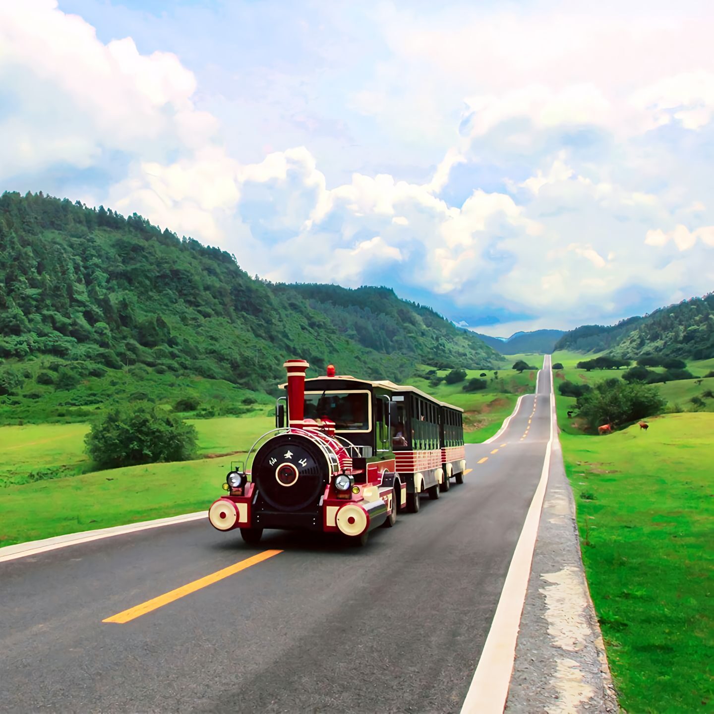Chongqing 4 Days 3 Nights Itinerary & Private Tour - Image 3