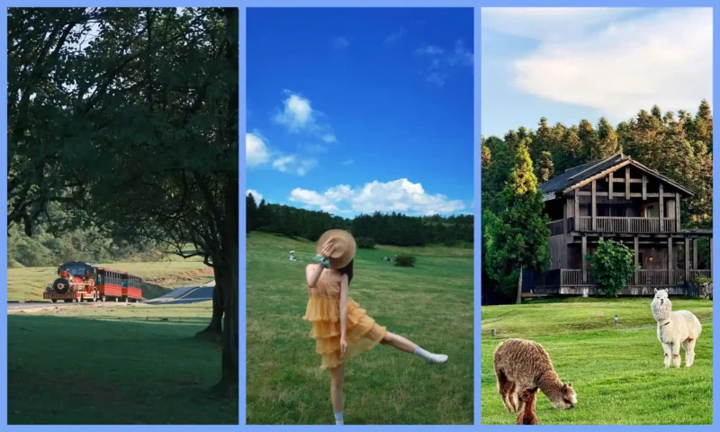 Fairy Mountain grassland, outdoor activities and forest scenery in Wulong