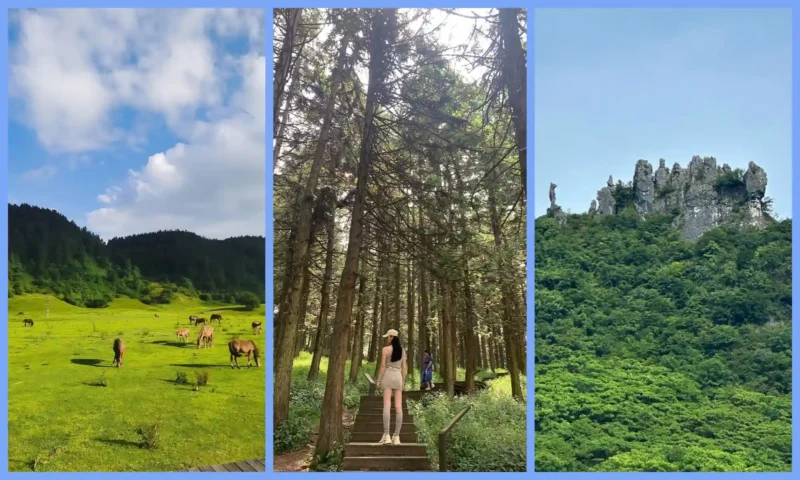 Green grasslands, forests and mountain scenery at Xiannüshan in summer