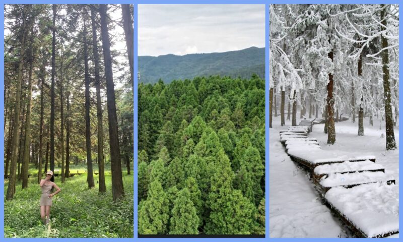 Fairy Mountain forest trails, cliffs and snowy winter scenery