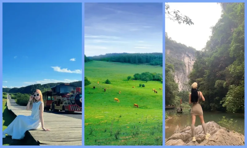 Fairy Mountain grasslands, mountain roads and summer scenery in Wulong