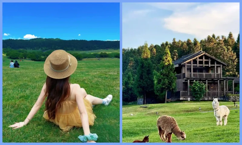 Visitors enjoying the grasslands and countryside scenery at Fairy Mountain
