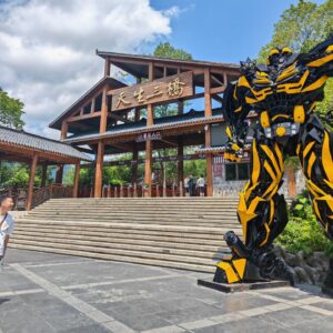 Wulong One Day Tour from Chongqing visiting the scenic entrance and natural landscapes of Wulong