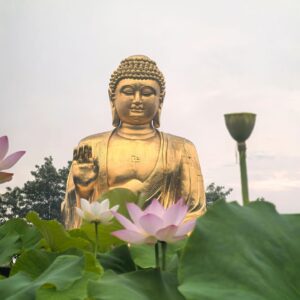 Chongqing One Day Tour | Private City Tour Package