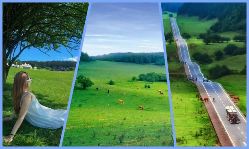 Fairy Mountain grasslands, mountain roads and green countryside scenery