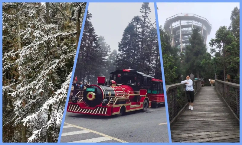 Snow-covered forest road and winter scenery at Fairy Mountain