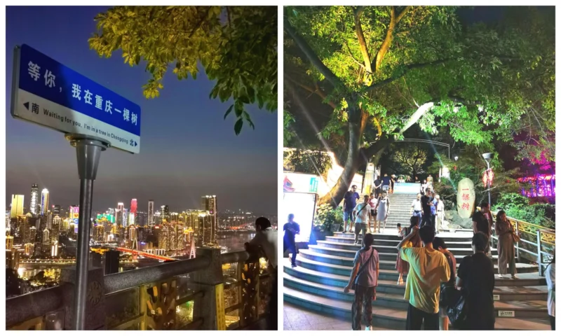 Chongqing 3 Day Tour experiencing mountain city streets, steps and evening views