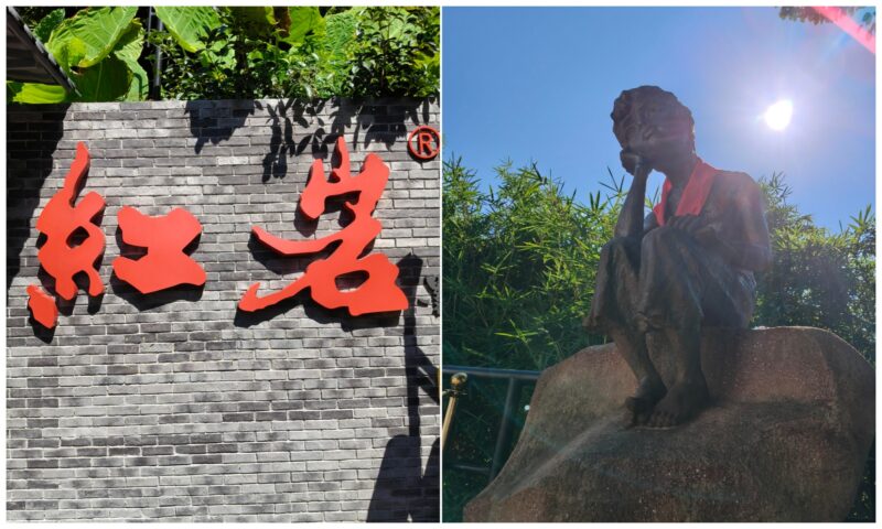 Bai Mansion historical site visit with Chongqing private tour guide
