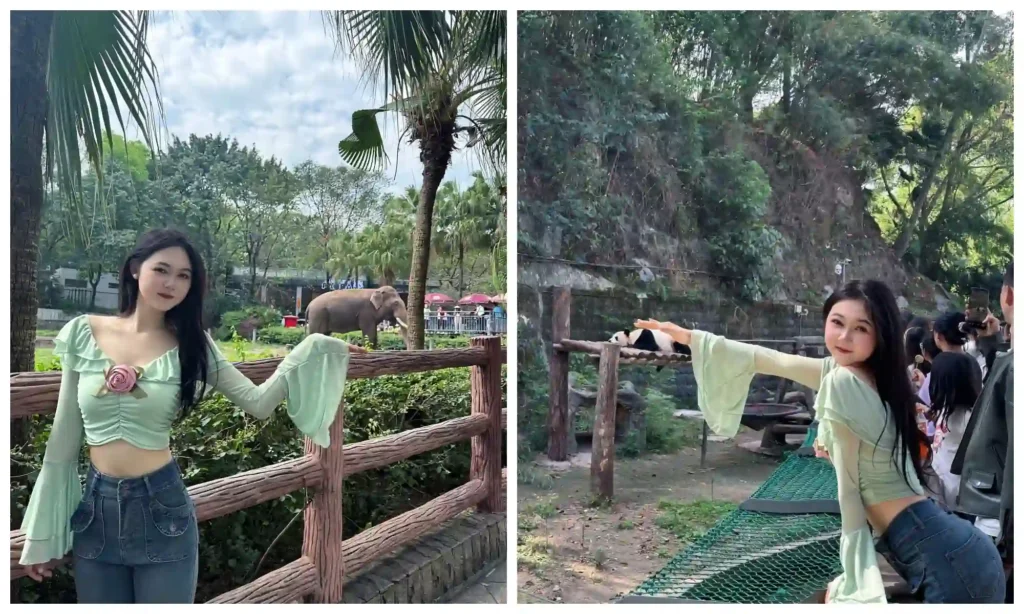 Chongqing Chongqing Zoo Guide: a visitor in a green top posing beside wooden railings along leafy zoo paths.