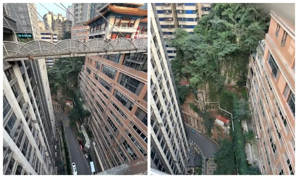 Kuixing Tower skybridge between high-rise buildings, with downward views of a winding street and trees far below